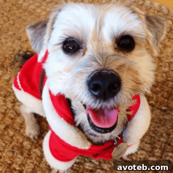 Warmest Yuletide Greetings 2 A heartwarming depiction of Christmas cheer and festive gatherings, symbolizing the joy and spirit of the holiday season