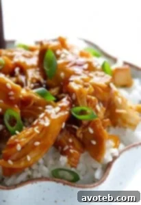 Slow Cooker Teriyaki Chicken