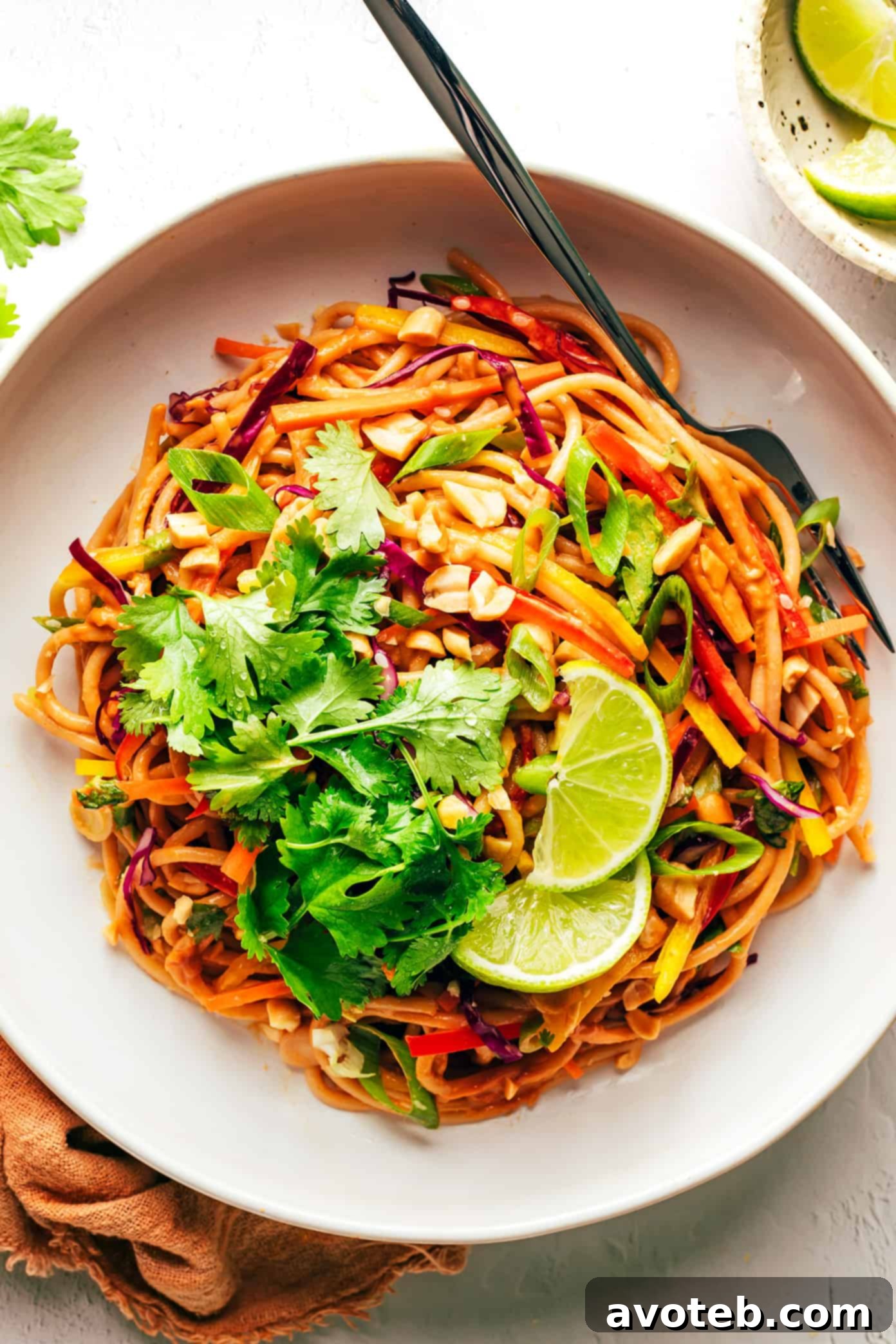 This rainbow peanut noodles recipe is made with colorful fresh veggies, your choice of noodles, and the most irresistible sesame-lime peanut sauce. Feel free to add in a protein (chicken, shrimp, beef, tofu, etc), serve warm or cold, and use whatever colorful vegetables you have on hand. Perfect for easy meal prep too! | gimmesomeoven.com A bowl of Rainbow Peanut Noodles with lime wedges, cilantro, and chopped peanuts