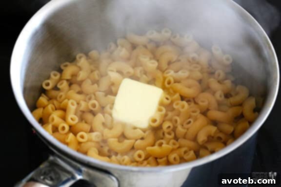 Cooked macaroni pasta ready for sauce.