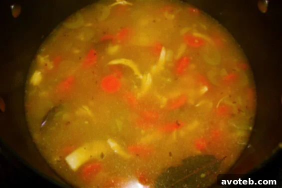 Classic Chicken Noodle Soup Recipe | gimmesomeoven.com Delicious bowl of homemade chicken noodle soup, ready to be enjoyed as a comforting meal.