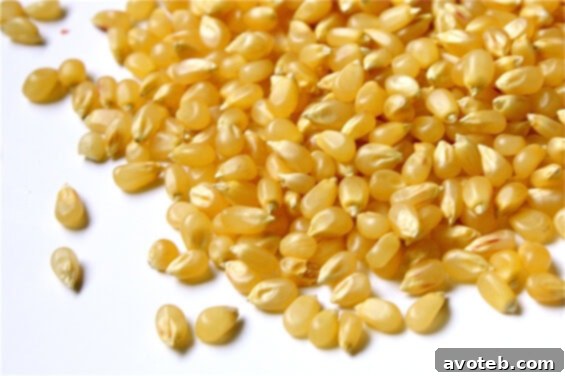 Popcorn kernels, ready to be transformed into a delicious snack.