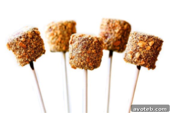 Fun and nostalgic S'mores Pops, a delightful twist on a classic campfire treat