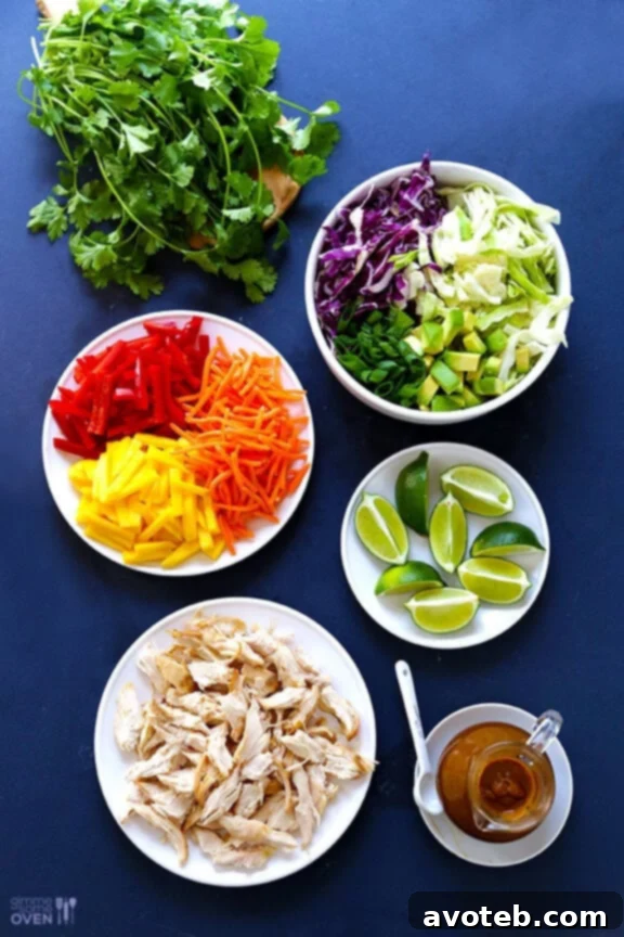 Overhead view of a bowl of Rainbow Thai Chicken Salad, highlighting the variety of vegetables and the chicken.