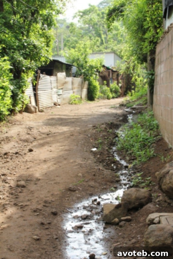 Blogger reflecting on upcoming El Salvador trip with Unbound