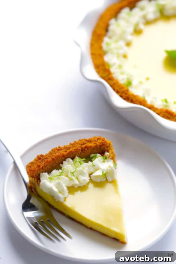 Finished Mojito Pie A perfectly baked and chilled Mojito Pie, garnished with fresh lime slices and mint leaves, ready to be served.
