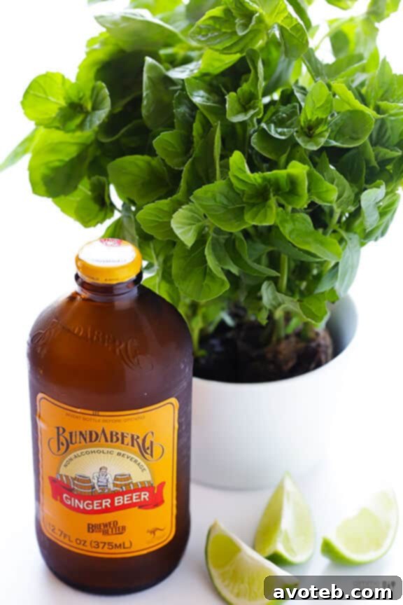 Discover the best ginger beer for your Mojito – a spicy, sweet, and fizzy mixer