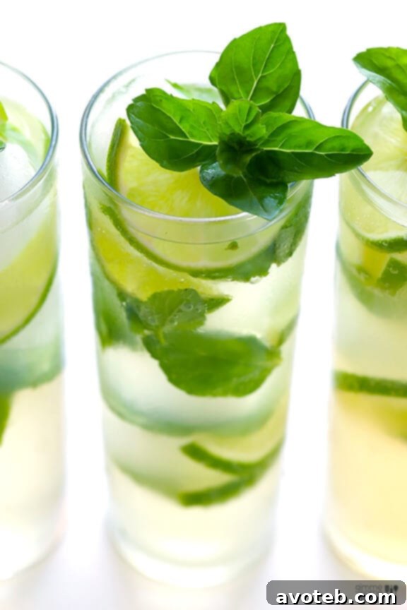 Ginger Beer Mojito ingredients: fresh lime, mint, rum (optional), and premium ginger beer