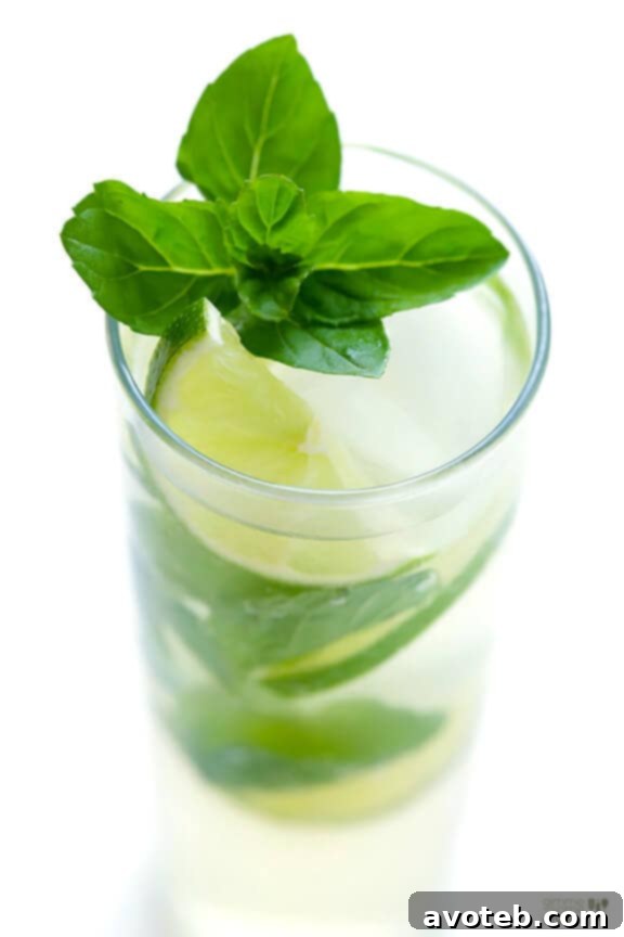 Ginger Beer Mojito garnished with fresh mint and lime slices - ready in 1 minute!