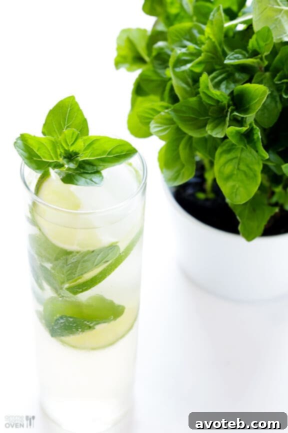 Customizable Ginger Beer Mojito for any taste, perfect for parties and gatherings