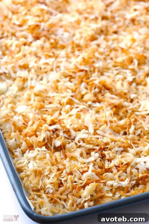 Close-up of Samoa Cheesecake layers: chocolate cookie crust, creamy vanilla filling, and toasted coconut caramel topping.