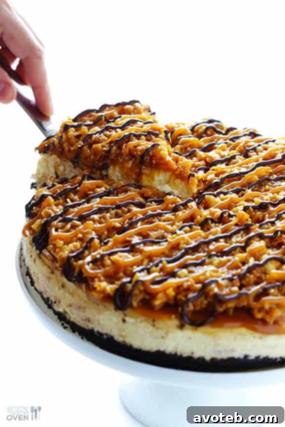 Slice of Samoa Cheesecake ready to be enjoyed, highlighting its rich textures.