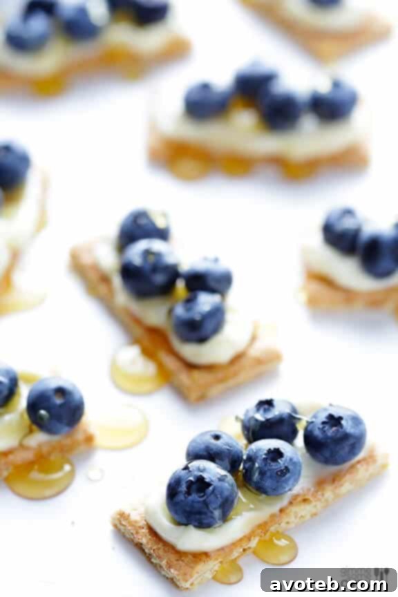 Simple Ingredients for No-Bake Blueberry Cheesecake Bites: Laughing Cow, Graham Crackers, Blueberries, Honey