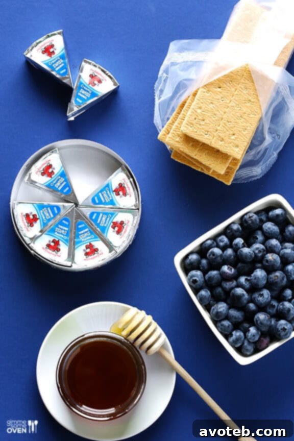 Healthy & Quick Blueberry Cheesecake Bites - Perfect for Intentional Snacking