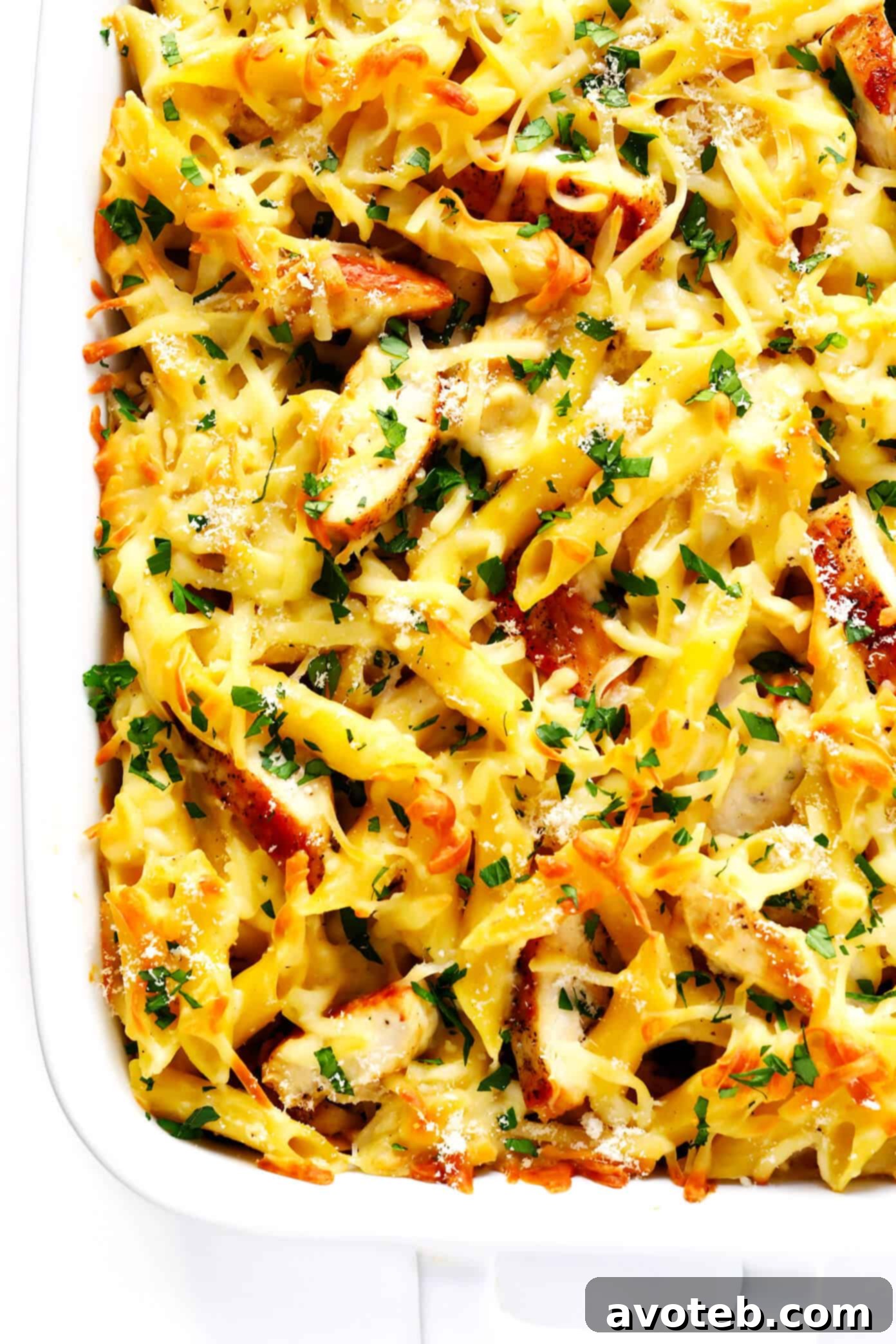 Creamy Chicken Ziti Bake 6 Baked Chicken Alfredo Ziti Casserole, freshly out of the oven