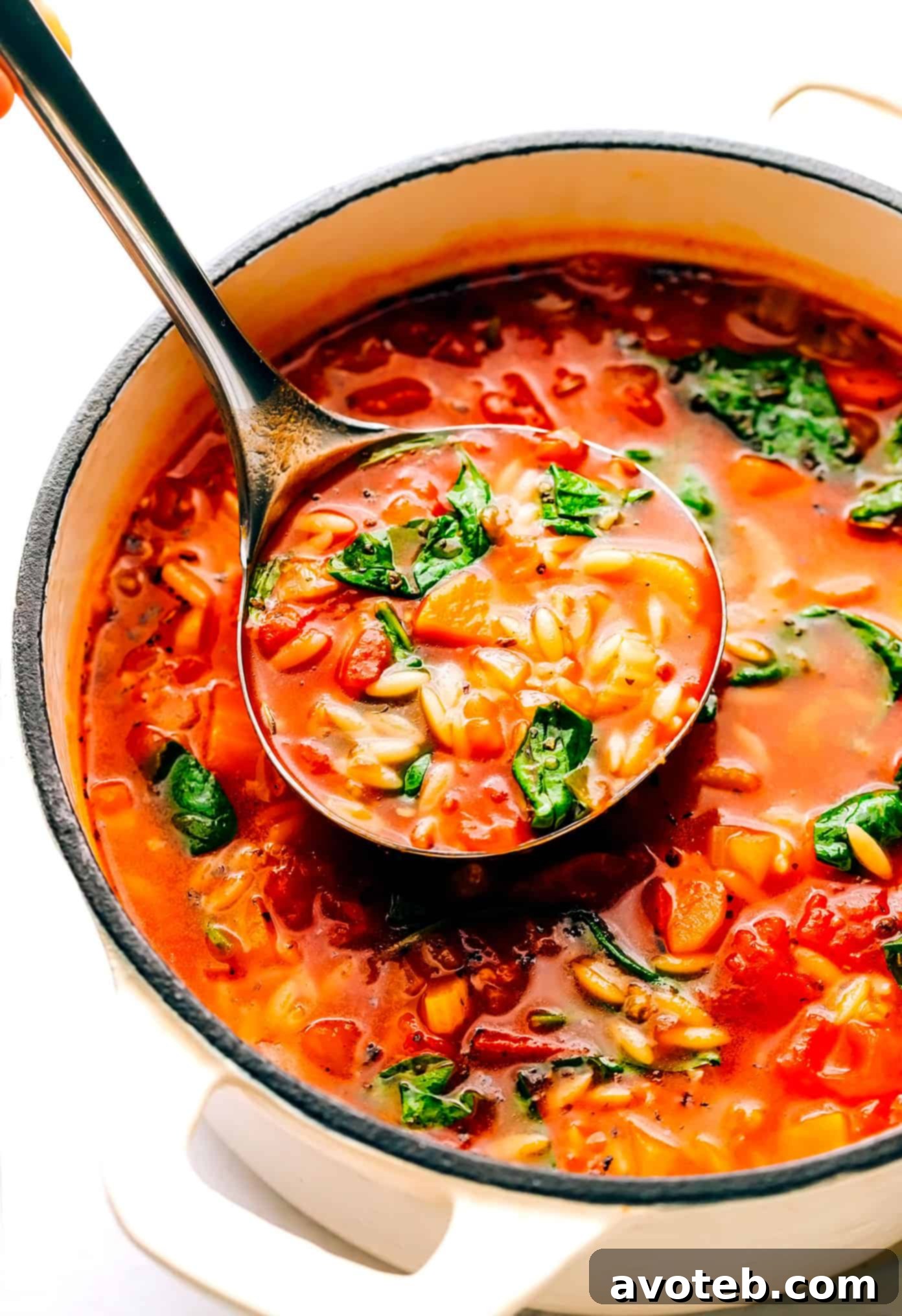 Close-up of Italian Orzo Soup in a pot with a ladle, ready to serve