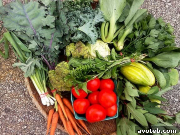 Two friends happily sharing groceries and home-cooked meals, embodying the spirit of community cooking.
