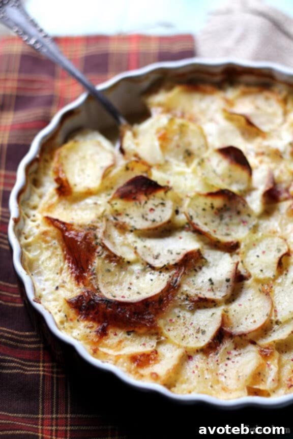 Loaded Baked Potato Casserole, a creamy and savory side or main dish.