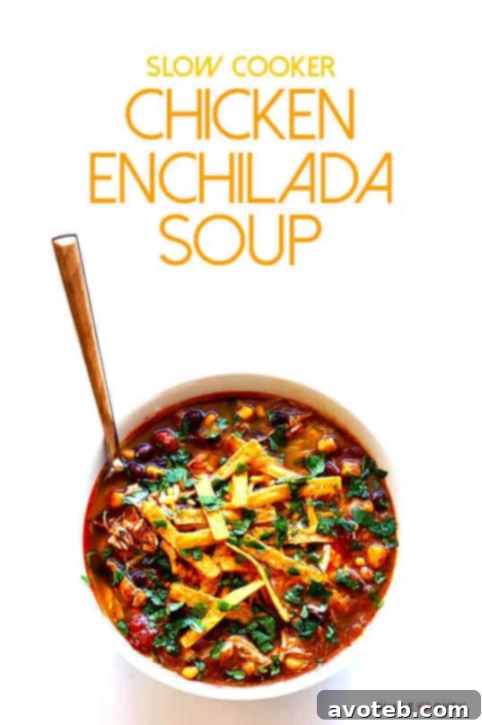 Final bowl of Slow Cooker Chicken Enchilada Soup ready to eat