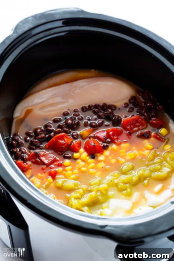Hearty Slow Cooker Chicken Enchilada Soup - Minimal Prep, Maximum Flavor