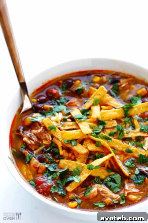 Slow Cooker Chicken Enchilada Soup Served Plain