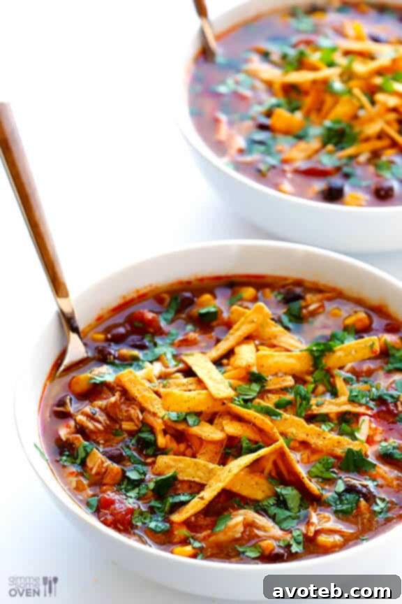 Garnished Slow Cooker Chicken Enchilada Soup