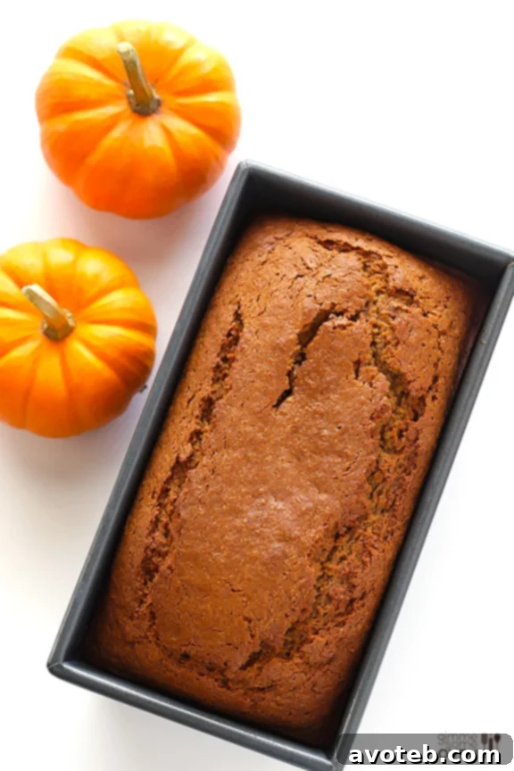 Coconut Oil Pumpkin Bread - A One-Bowl Wonder