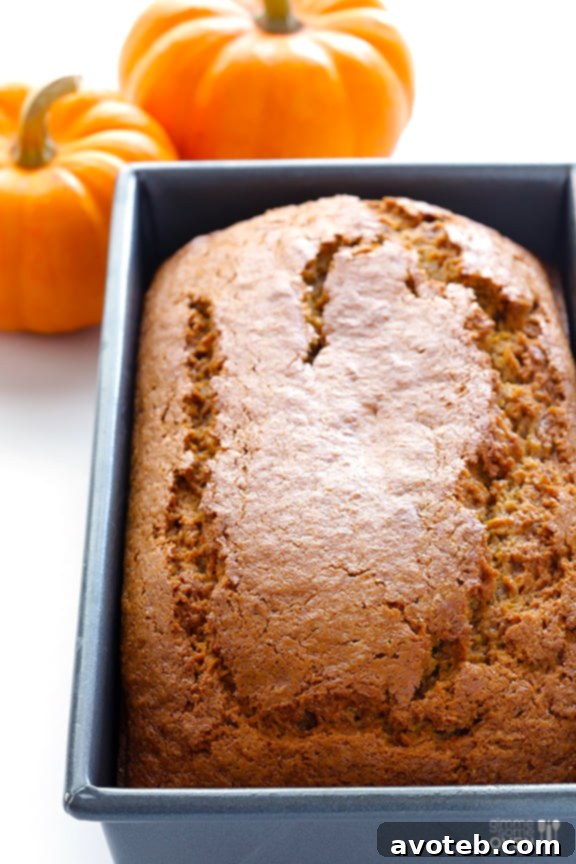 Pouring Coconut Oil Pumpkin Bread Batter into Loaf Pan