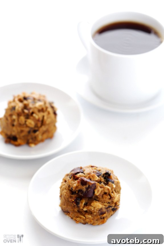 Delicious and Healthy Breakfast Cookies from Gimme Some Oven