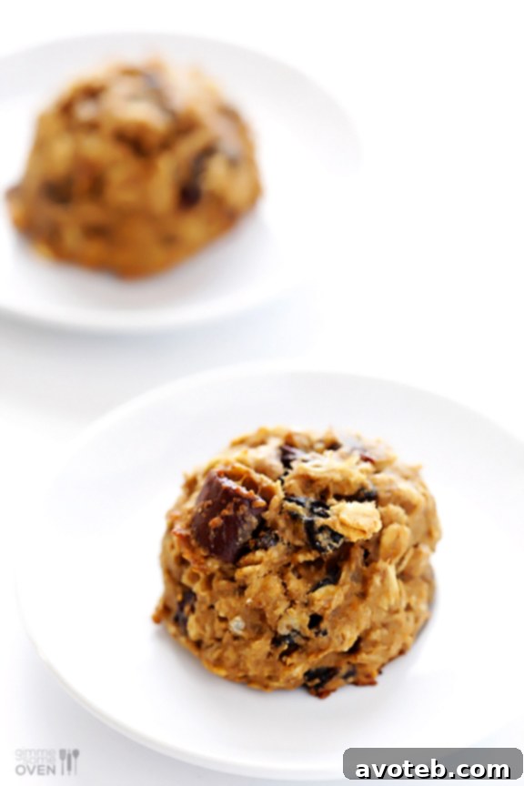 Close-up of a delicious breakfast cookie with visible oats and chocolate chunks