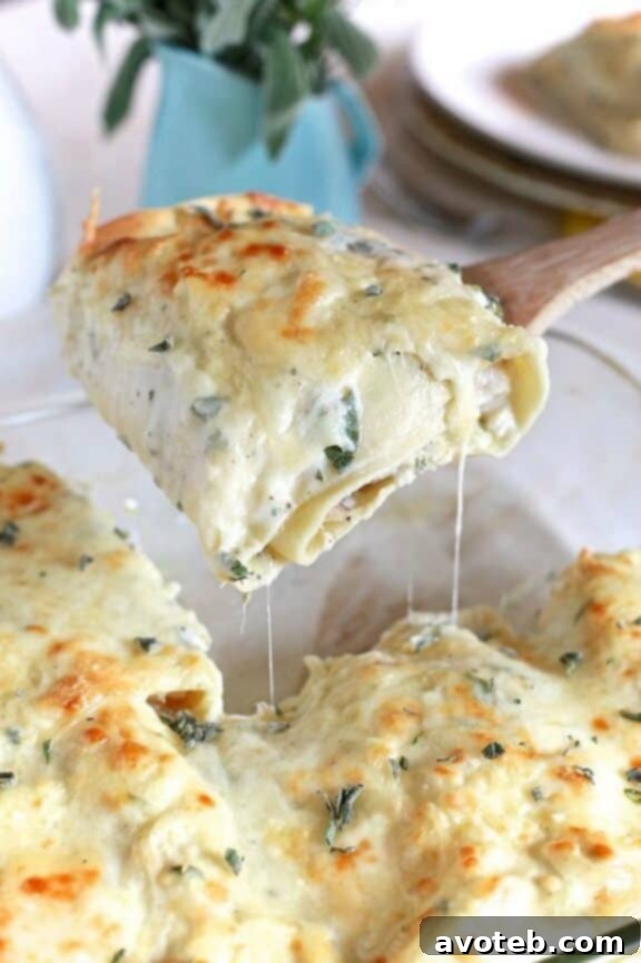 Butternut & Sausage Hash Rustic Lasagna Rolls with Creamy Sage Sauce | Unique Lasagna Recipe