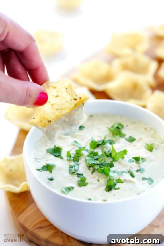 Effortless Queso Dip 2 Delicious 2-Ingredient Queso Dip, ready in 5 minutes for your next gathering or game day. Perfect creamy and tangy appetizer!