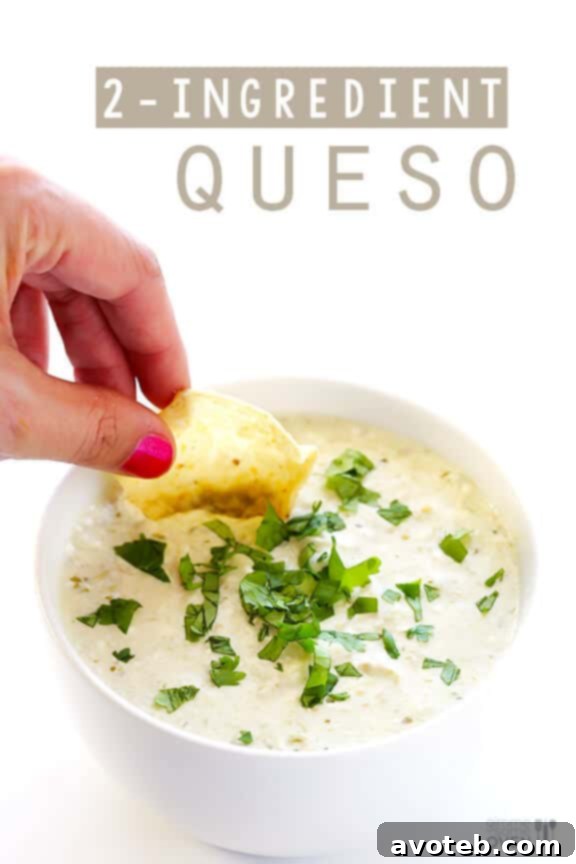 Effortless Queso Dip 7 Final presentation of the 2-Ingredient Queso Dip, ready to be enjoyed with a variety of dippers.