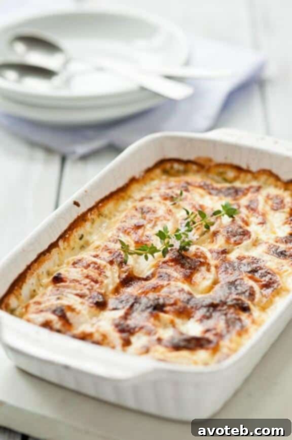 A golden-brown Turnip Gratin, baked to perfection in a gratin dish with a creamy sauce and garnished with fresh thyme sprigs, showcasing its inviting, bubbly texture.
