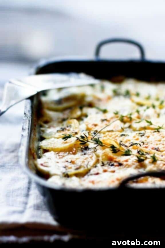 A creamy and golden Parsnip Gratin with Gruyere and Thyme, baked to perfection in a ceramic gratin dish, garnished with fresh thyme sprigs.