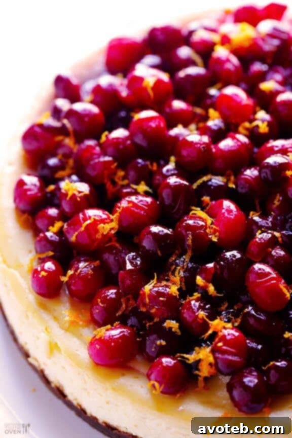 Cranberry Orange Cheesecake | gimmesomeoven.com