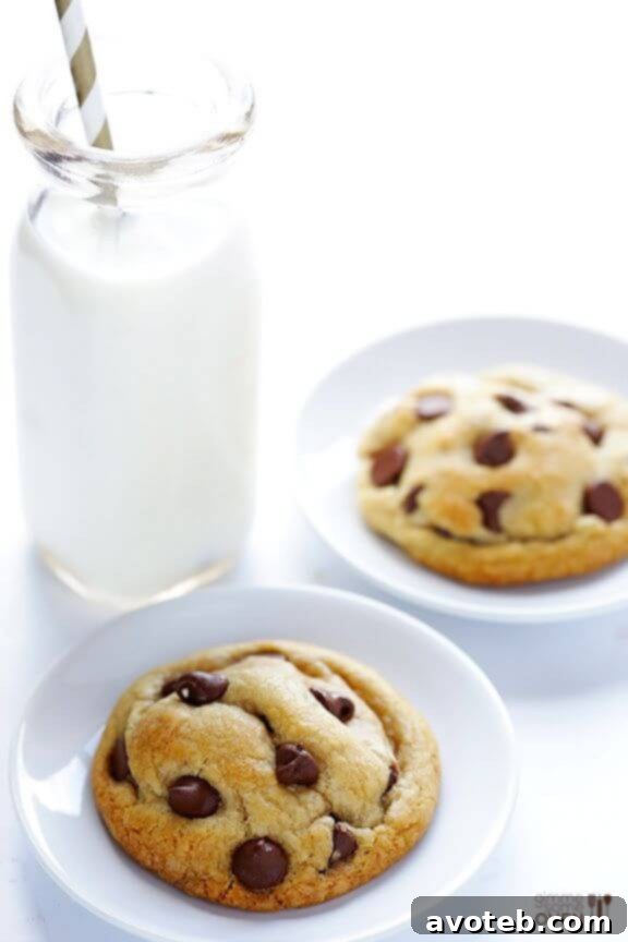15 Festive Cookie Creations 16 Healthy Coconut Oil Chocolate Chip Cookies, a delicious and wholesome twist on a favorite