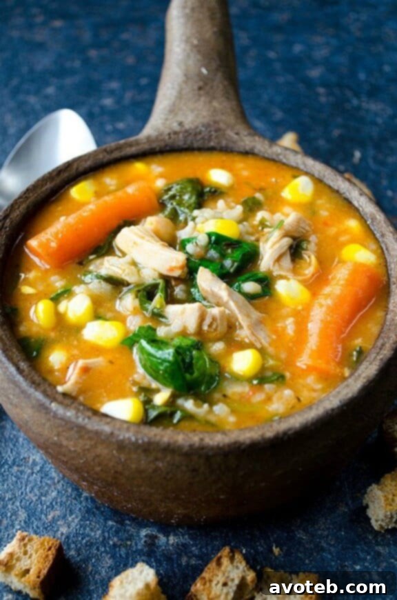Wholesome Tomato Chicken Rice Soup, a hearty option