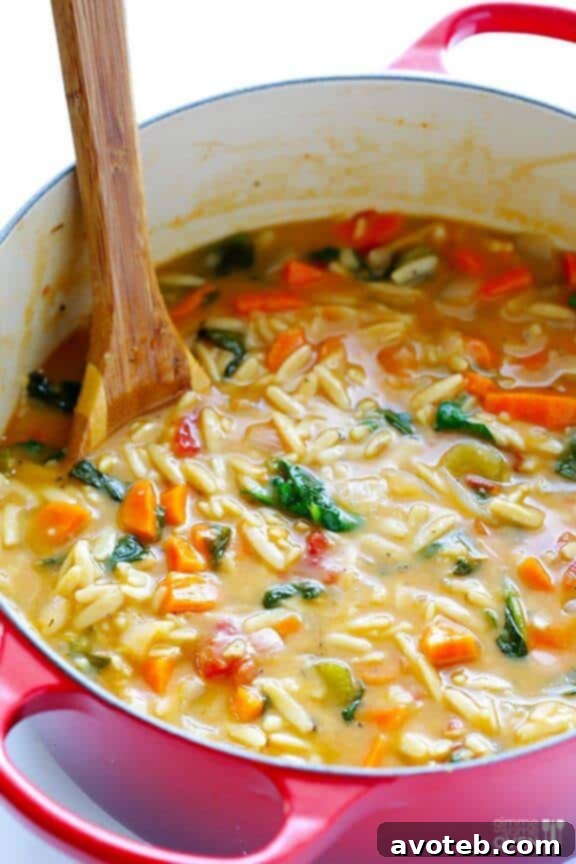 Hearty Italian Orzo Spinach Soup for immune support