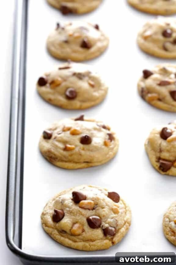 Toffee Chocolate Chip Cookies Ready for Baking