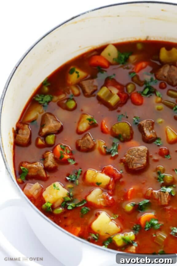 Vegetable Beef Soup - A close-up shot of the rich, chunky texture of homemade soup.
