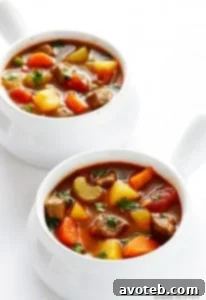 Vegetable Beef Soup