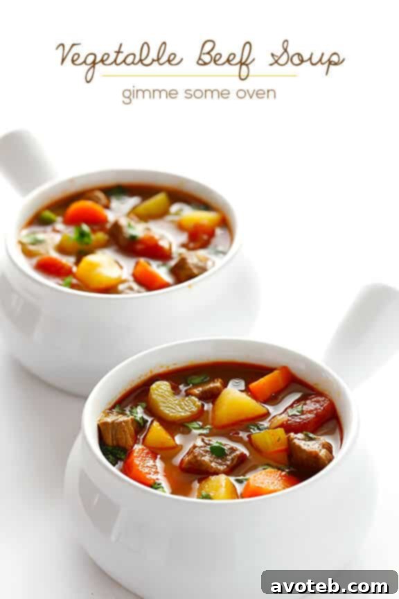 Vegetable Beef Soup - A wide shot of the soup pot, highlighting the generous serving size.