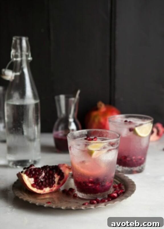 Pomegranate and Ginger Spritzer | drizzleanddip.com
