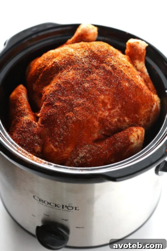 Hand applying a savory spice rub to a whole chicken before slow cooking, ensuring maximum flavor.