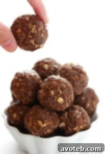 Chocolate Peanut Butter No-Bake Energy Bites