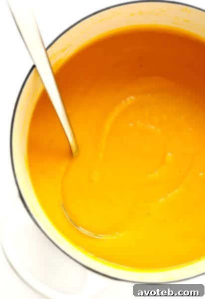 BEST Butternut Squash Soup Recipe, garnished and served.
