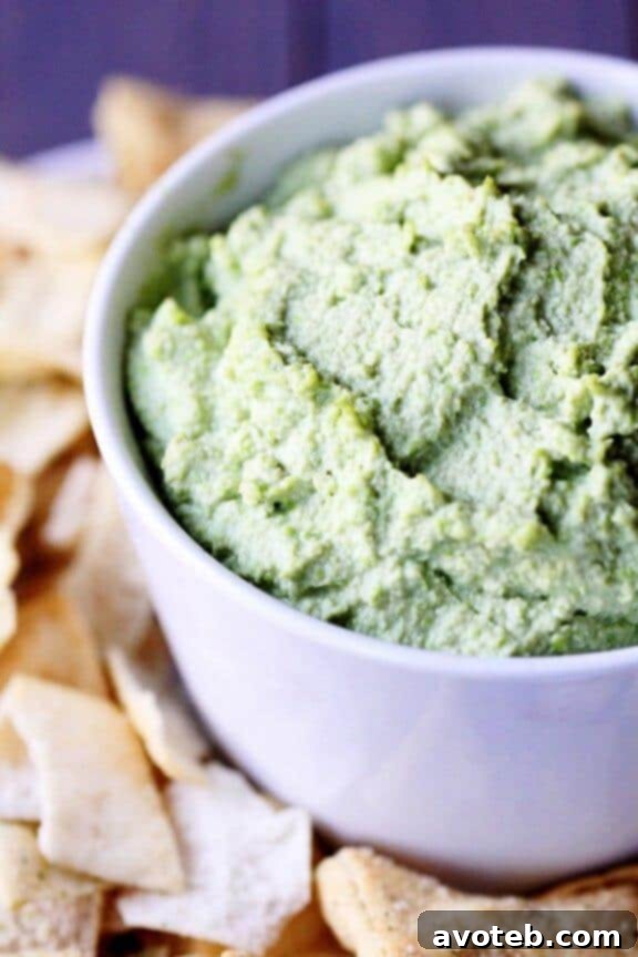 15 Recipes for Creamy Dreamy Hummus Bliss 16 A bold green Ginger Wasabi Edamame Hummus, garnished with delicately curled pickled ginger and a hint of vibrant green wasabi paste. This adventurous dip offers an exciting Asian-inspired flavor with a kick.