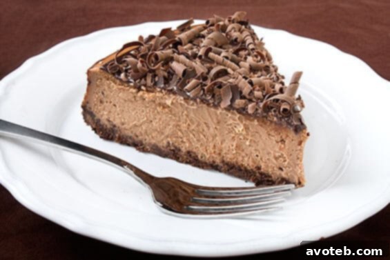 Delicious Bailey's Chocolate Cheesecake adorned with elegant chocolate curls, ready to be served.
