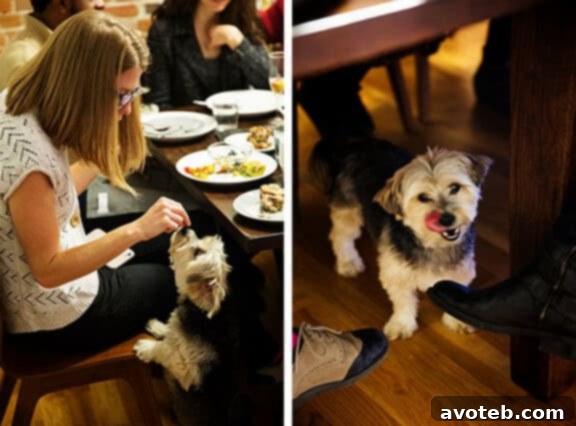 Joyful gathering of friends around the brunch table, showcasing the warmth of community and shared happiness